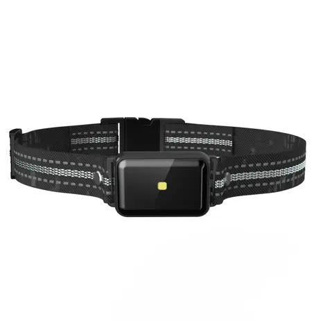Smart GPS pet collar with real-time tracking and waterproof design for secure outdoor pet monitoring by Xianzhuo Tech