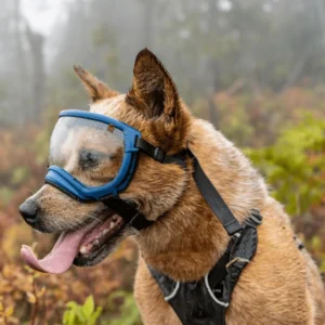 Chinese Manufacturer of Dog Goggles