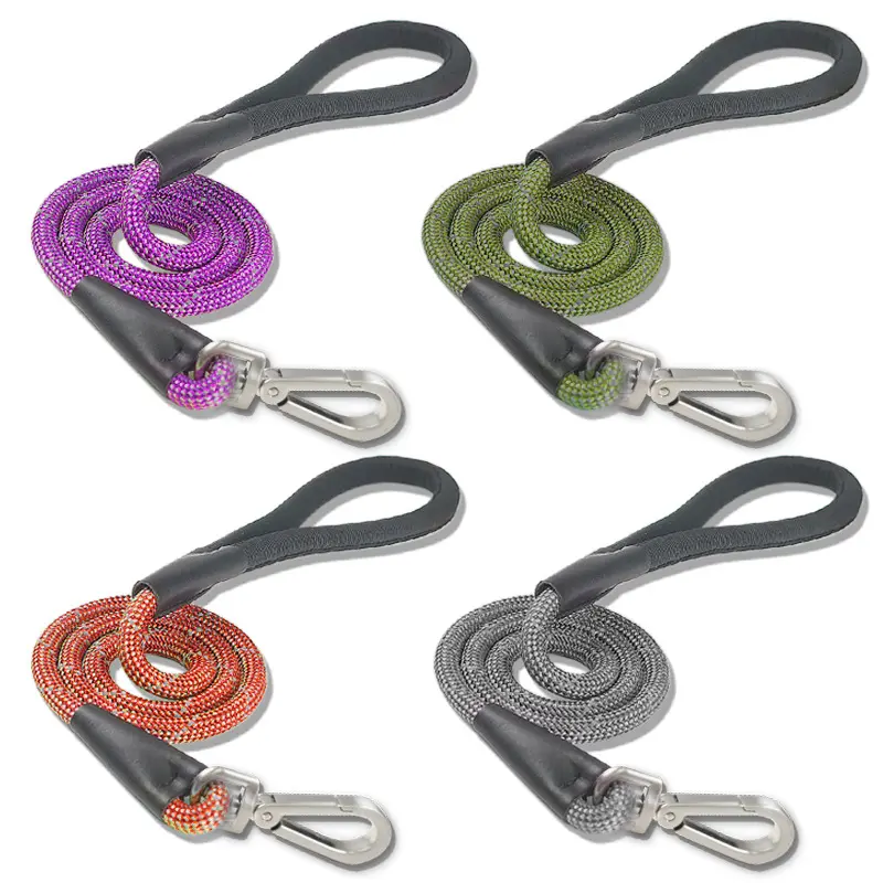 Reflective Nylon Leash for Medium to Large Dogs